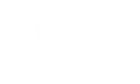 Express van Alvas Logistics