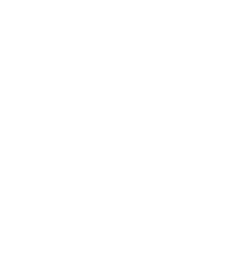 Corriere internazionale Alvas Logistics