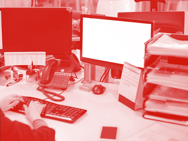 Operazioni doganali Alvas Logistics