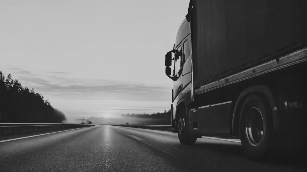 Trasporto stradale Alvas Logistics la soluzione su misura per le tue spedizioni